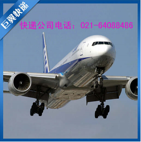 選擇我、就是邁向成功，TNT上海直飛國際貨運！